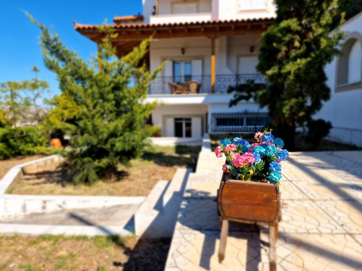 Villa Liana : Luxury Villa With Fantastic Sea View, Near Airport Pórto Ráfti Extérieur photo