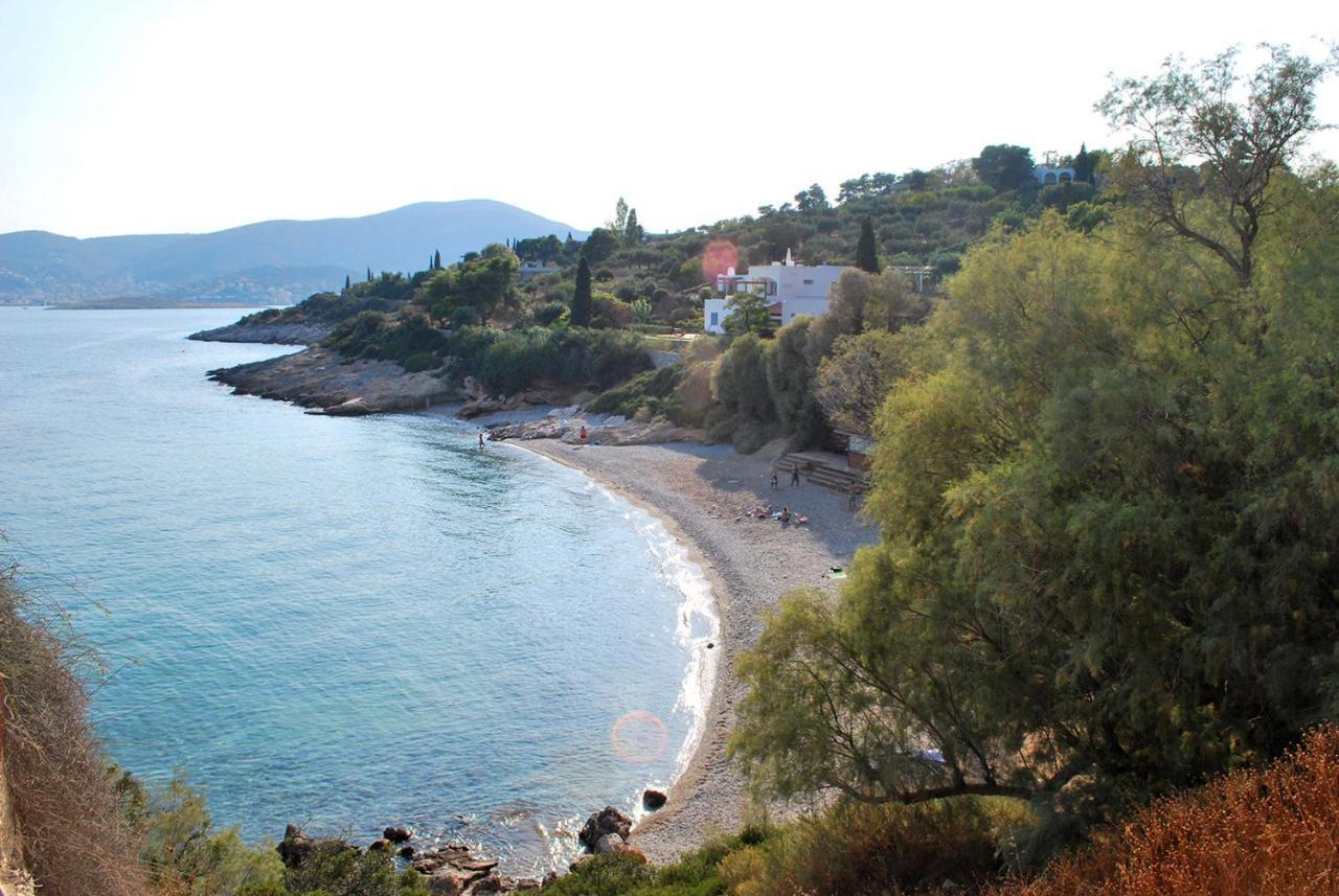 Villa Liana : Luxury Villa With Fantastic Sea View, Near Airport Pórto Ráfti Extérieur photo